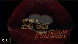 Megan thee stallion - big ole freak [lyric video]