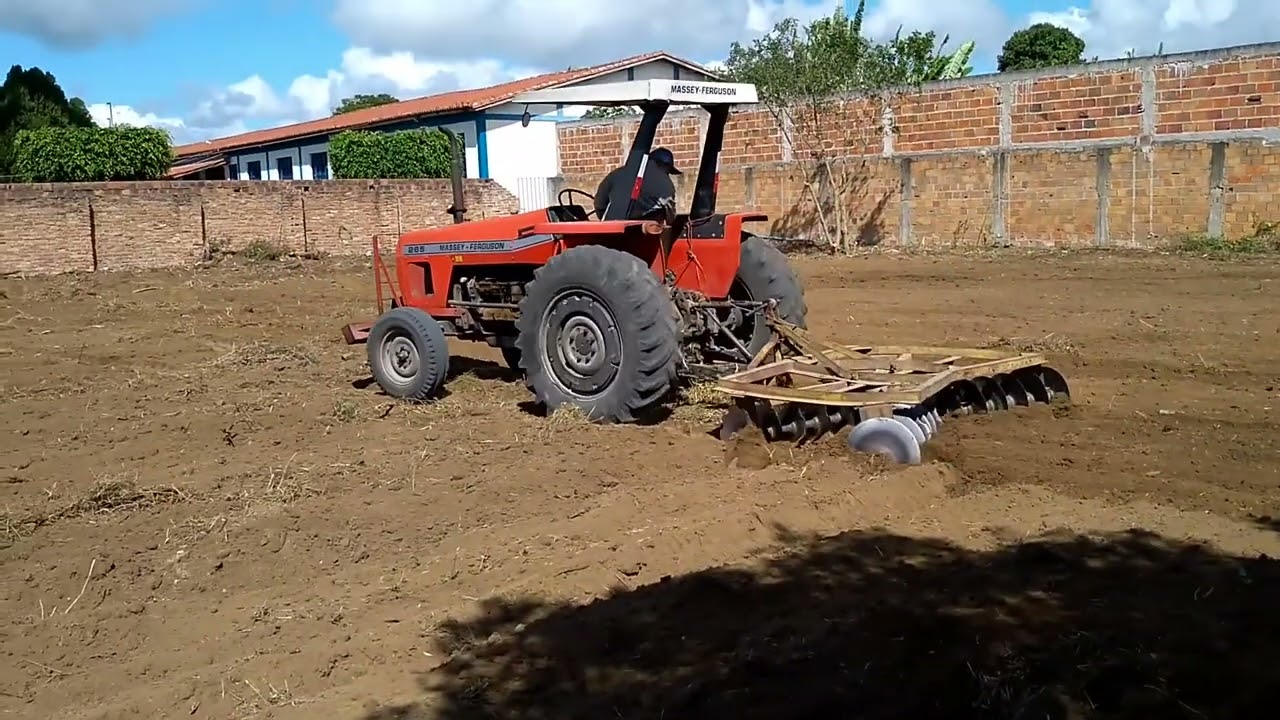 Gradeando a terra para plantios de rosas e hortaliças.
