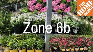 Home Depot Garden Center Tour | Best Heat Tolerant Plants | Come Browse With Me #homedepot #garden