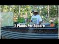 Planting Blackeye Peas the EASY Way in a Vego 2x8 Elevated Raised Bed #vego #vegogarden