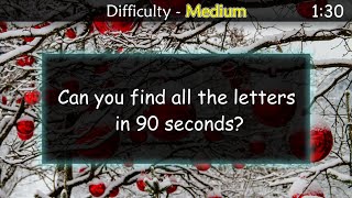 No.4 - Medium - Hidden Object - Word Puzzle