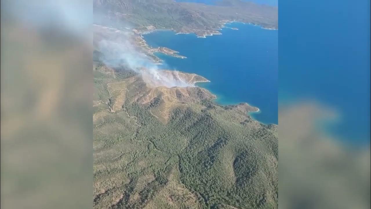 YİNE ORMAN YANGINIYLA CANLARIMIZ VE CİĞERLERİMİZ YANDI