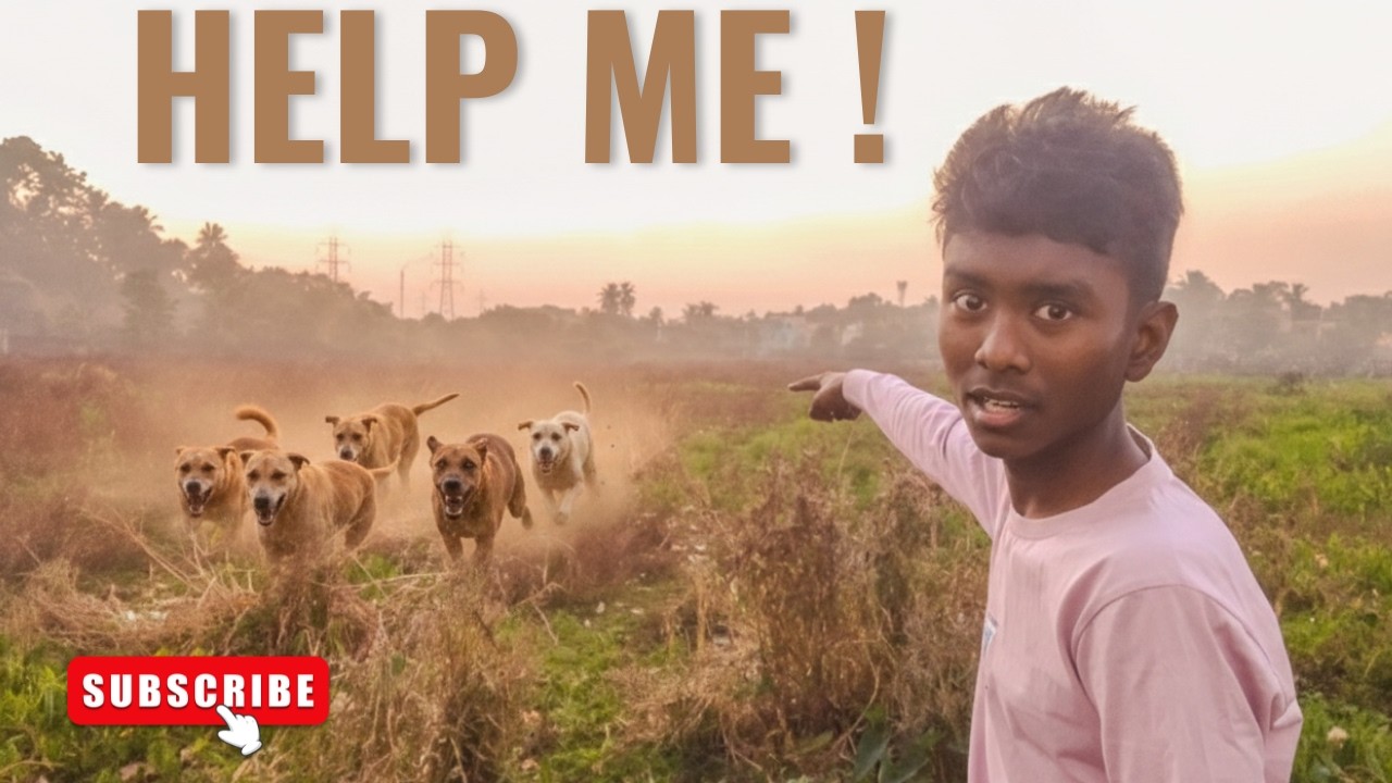 Save Sayan from Dogs(2026)