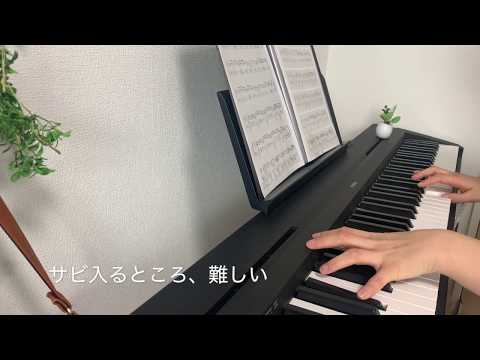 The hole 弾いてみた　開始1ヶ月(40時間)　大人のピアノ　初心者
