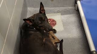acs A674997