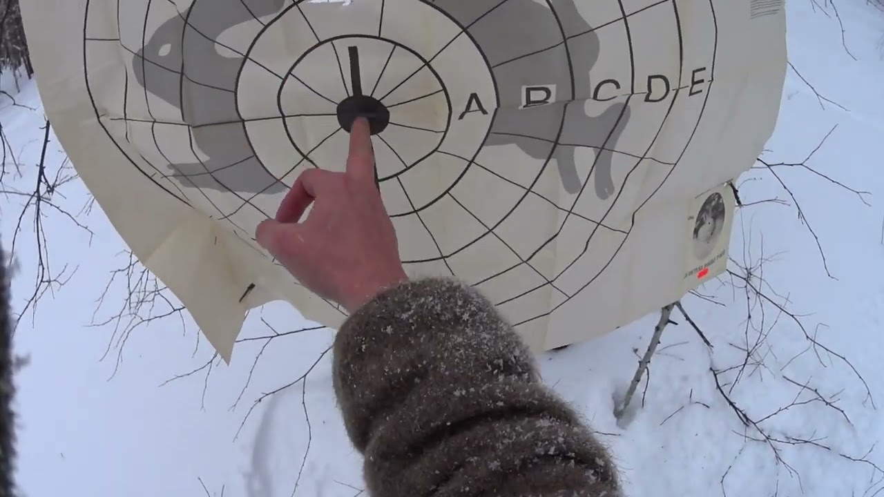 ATA SP Light 20 калибр, стволы 610 мм. Отстрел пулями и дробь 1.