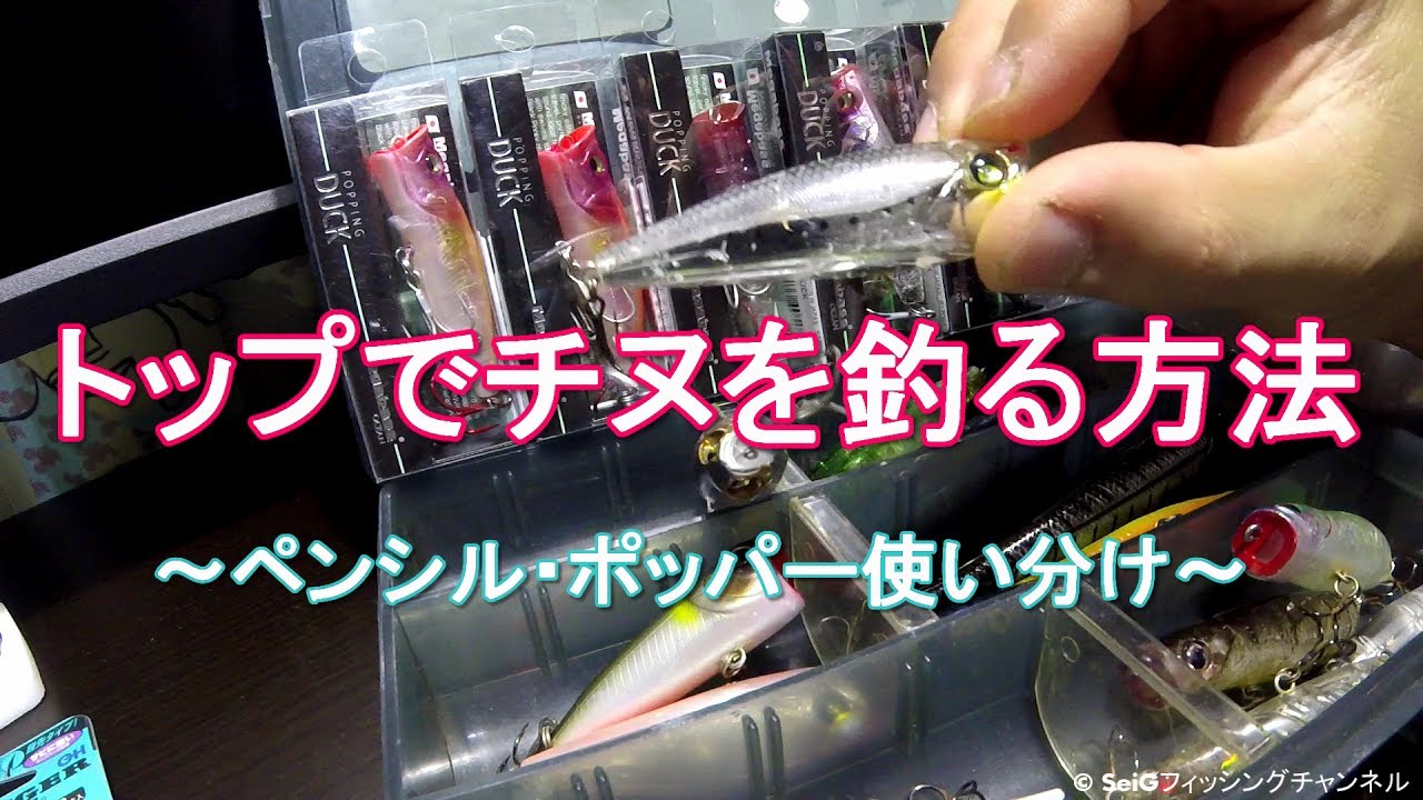 トップでチヌを釣る方法 真剣に聴けば釣れる 極秘 国家機密レベル Youtube