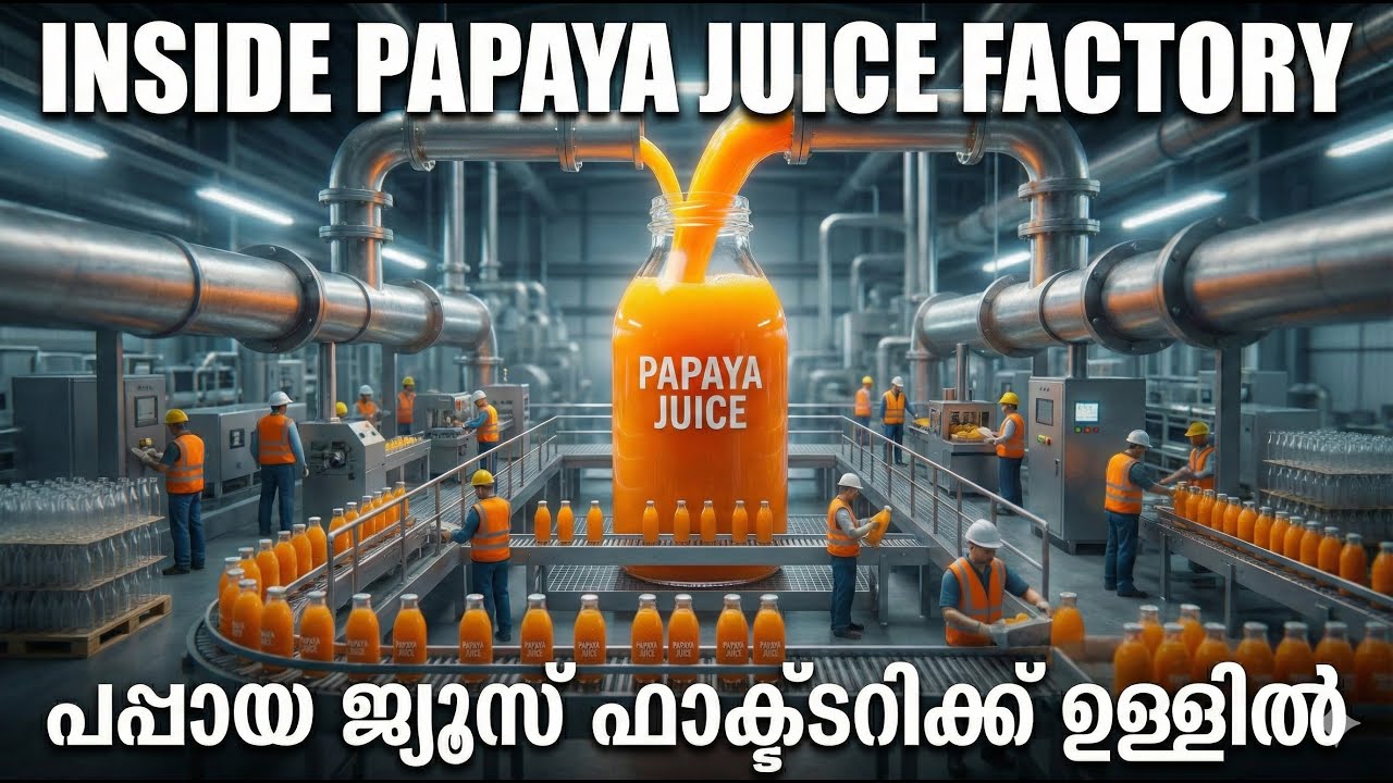 Inside the Papaya Juice Factory | Large-Scale Fruit Juice Production Visualization