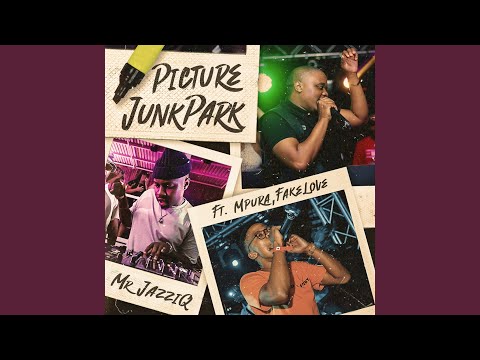 Picture JunkPark