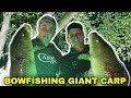 Bowfishing Giant Carp!!! (THEY&#39;RE HUGE!!!)