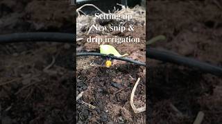 Low Pressure Drip Irrigation system that doesnt flood your garden
Dear Viewers,
We are setting up a new upto date irrigation system for our greenhouse.
#irrigationsystem #irrigation #greenhouse Low Pressure Drip Irrigation system that doesnt flood your garden
