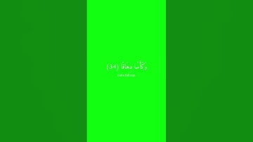 كرومات قرآن شاشة خضراء   سورة النبأ من آية 31 إلى 36   عبدالرحمن مُسعد