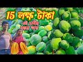    15     papaya farming  new multi farming ideas  source counting