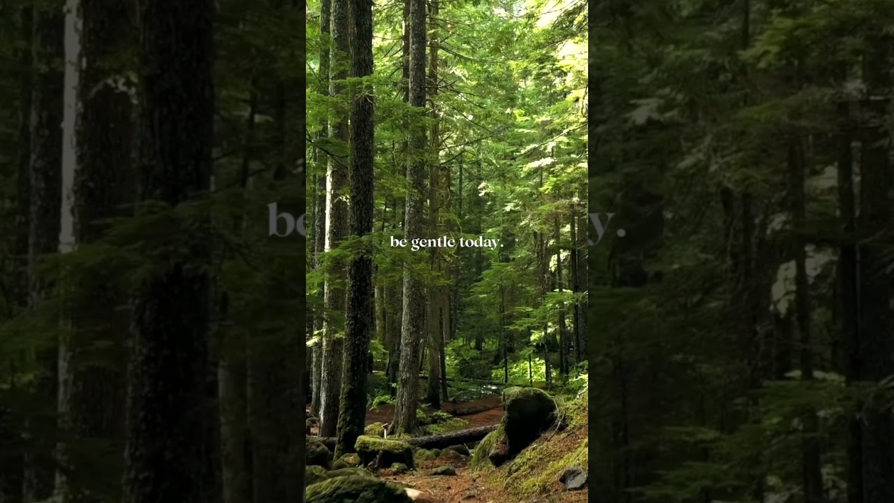 Be Gentle Today | Daily Peace in 16 Seconds