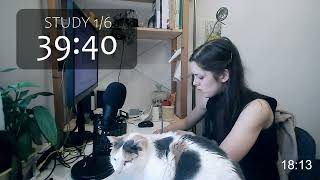 Study with me 6H || live pomodoros 50/10 || evening productivity | birds chirping