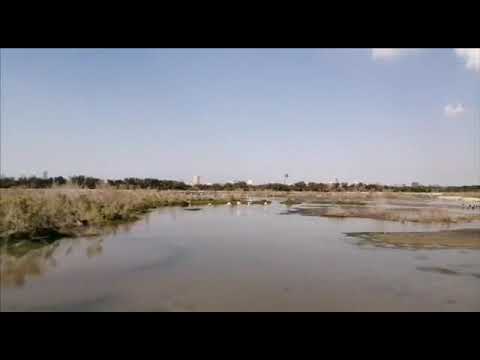 Ras alkhor wildlife sanctuary