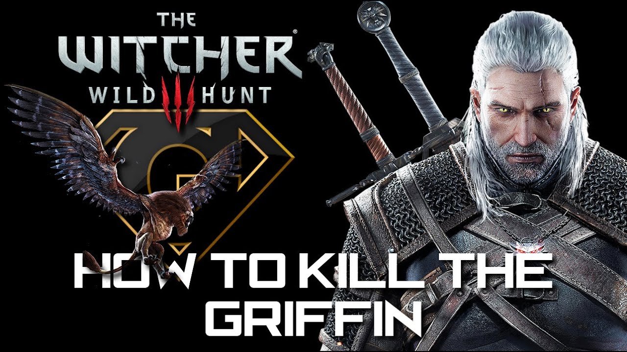 The Witcher 3: Wild Hunt - How To Kill The Griffin - YouTube