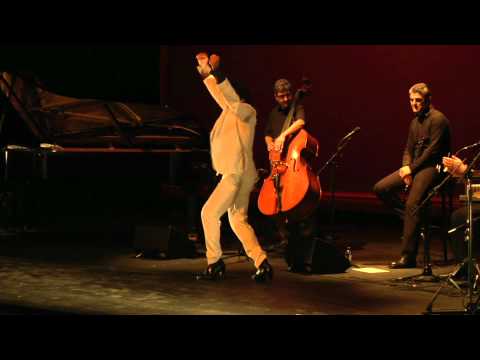 Dutch Flamenco Biennale 2011 Opening Night part 1