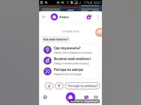 включи голосовой помощник алиса. алиса какой у меня телефон. алиса голосовой помошник. приложение алиса. поисковое приложение яндекс.