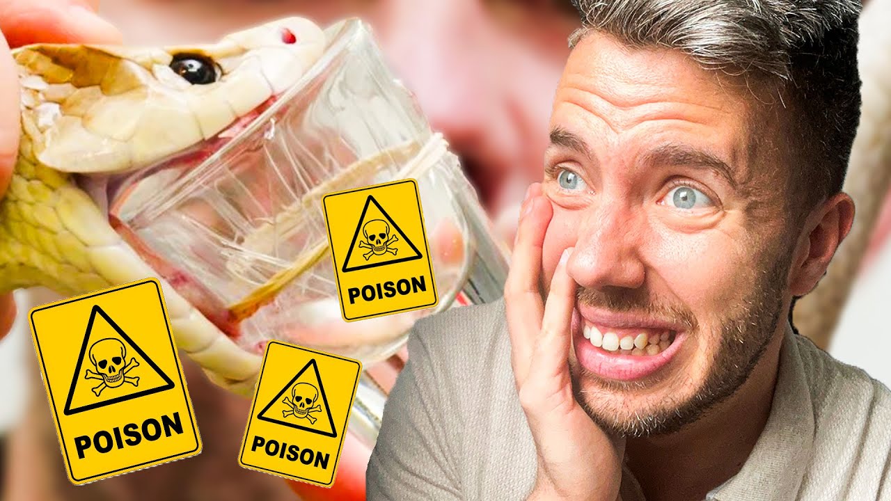 ÍGY NYERIK KI A MÉRGET A KÍGYÓKBÓL! - BRAVE WILDERNESS MAGYAR