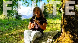 Mountain Zen Harmony: Native Flute Meditation Music