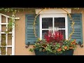 Winter Window Box 🎄 How's It Growing?