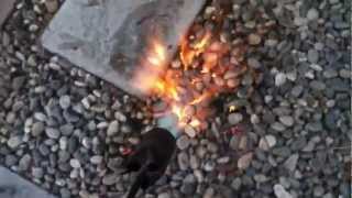 Yard clean up with flamethrower