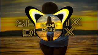 Всё Для Тебя (Real Girl Cover) (ShaHriX Remix)