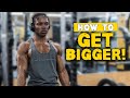 3 MAJOR EXERCISES YOU SHOULD BE DOING TO GET BIGGER! (BARBELL OR DUMBBELLS)