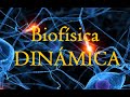 FÍSICA - DINAMICA: FUERZA, LEYES DE NEWTON, MASA, PESO Y NORMAL