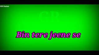 Tera hua jo deedar status