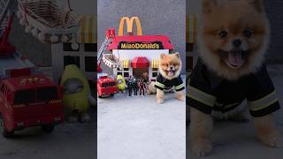 Firefighter Coco successfully put out the McDonald’s fire.Do you know who caused the fire?#coco #dog
