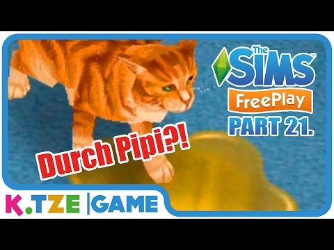 Video: Spielen Sie Mit Ihrer älteren Katze