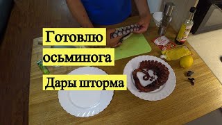 Готовлю осьминога. Дары шторма / Release the kraken! And cook it!