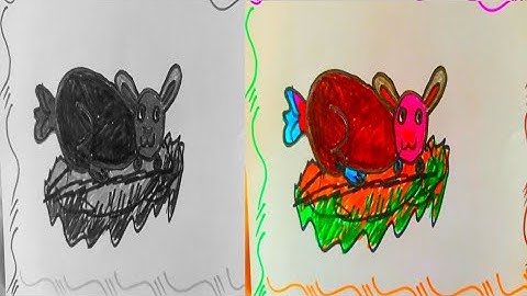 How To Draw Rabbit From Number 300 ( Rabbit drawing Funny video /Rabbit drawing video