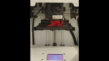 Spinosaurus 3D print timelapse