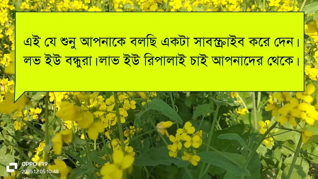 পিচ্চি বউ//সকল পর্ব//হিমু সোনালিকা নতুন লাভইষ্টোরি গল্প||