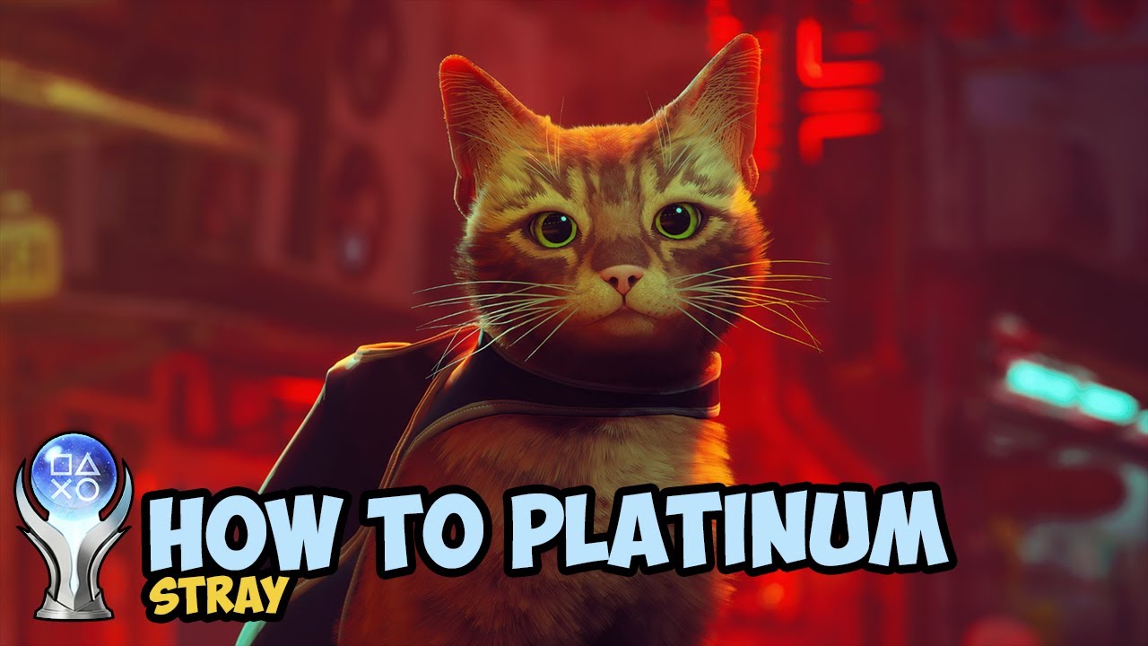 Stray Trophy Guide: All PS5, PS4 Trophies and How to Get the Platinum