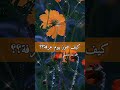 كيف تفوز بيوم عرفة 