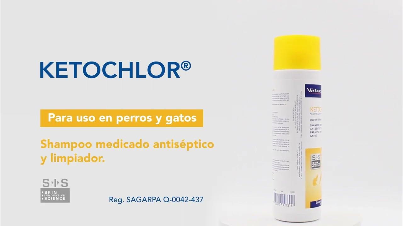 KETOCHLOR Shampoo anstiséptico y limpiador YouTube