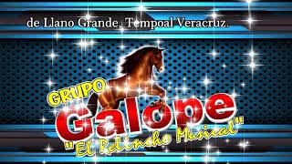 MI NUEVO AMOR. GRUPO GALOPE 