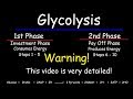 Glycolysis - Biochemistry