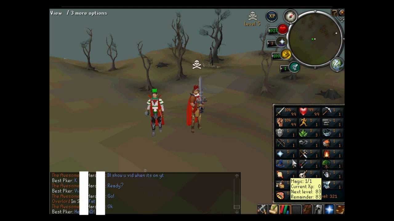 Partyhat Pking on the Pure