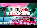 Stubete Gäng - Tenero - (Offiziells Musigvideo)