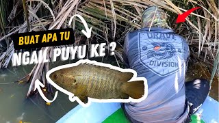 Toman gangster Sungai Kedah screenshot 5