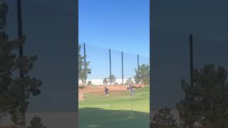 From Shanks to Soft Landings? 30 Chips to Find Out screenshot 5