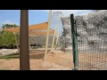 Speke's Gazelle Al Ain Zoo conservation project