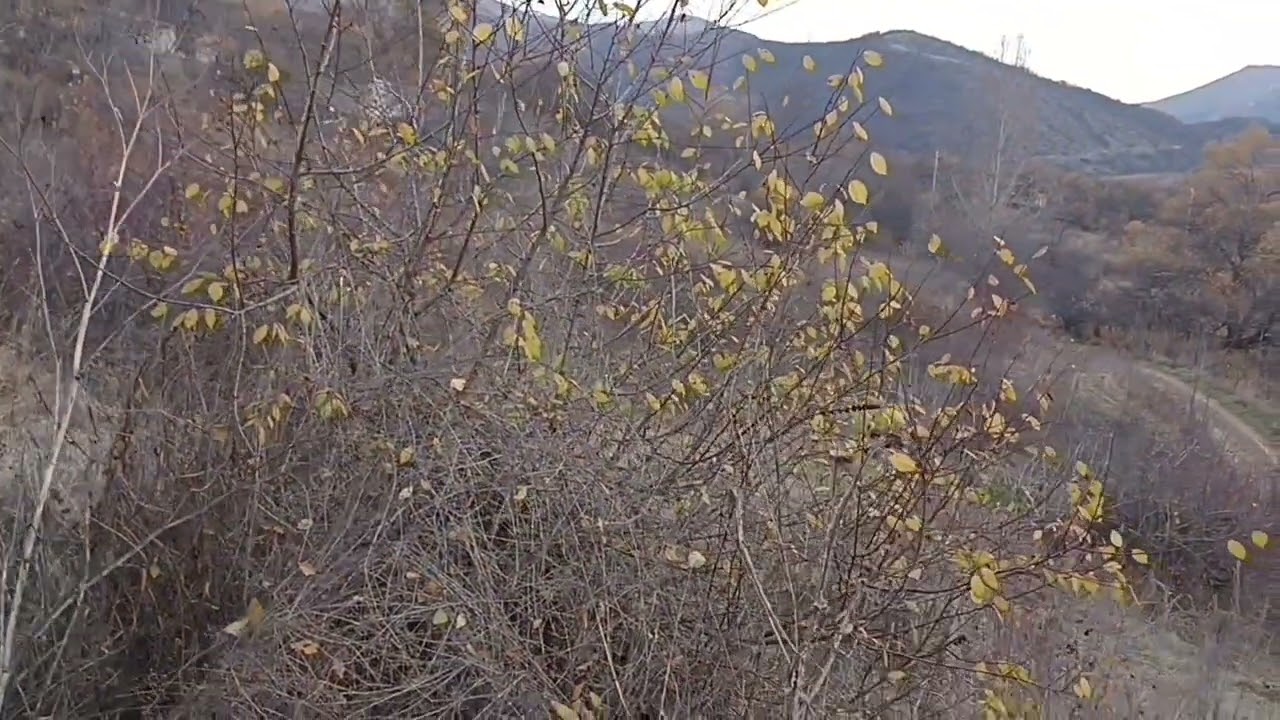 Kəndlərimizi tanıyaq: Müsəlmanlar bölgəsi - Köhnəkənd. 