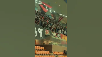 ومن زمان في الدم حب الأهلي الأهلي فوق الجميع الأهلي Halamadrid Cr7 Madridista Championsleague 