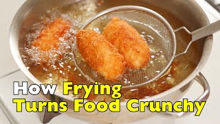 Why Do Fried Foods Become Crunchy?